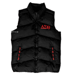 DELTA VEST (PRE-ORDER ONLY)